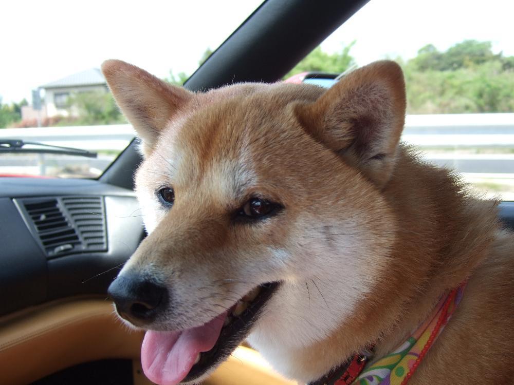 20110828 484.jpg